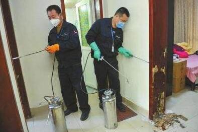 家庭白蚁防治服务